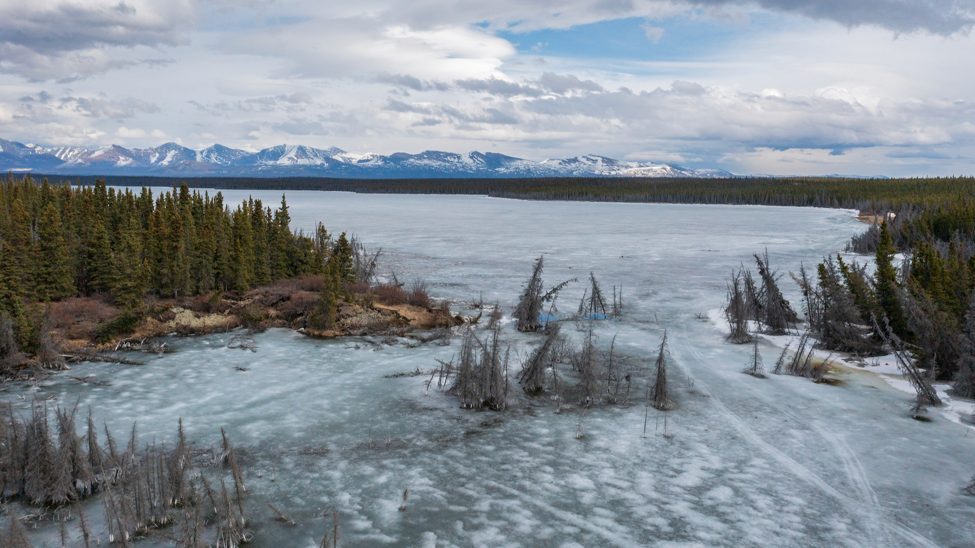 Sulfur Creek