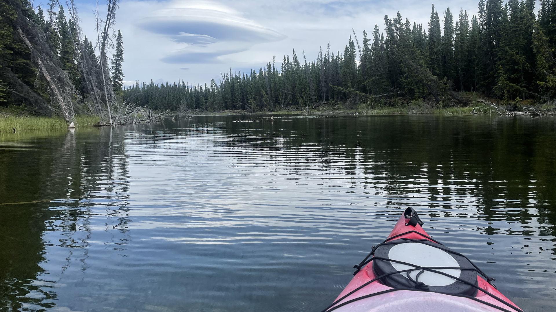 Pine Creek Kayak