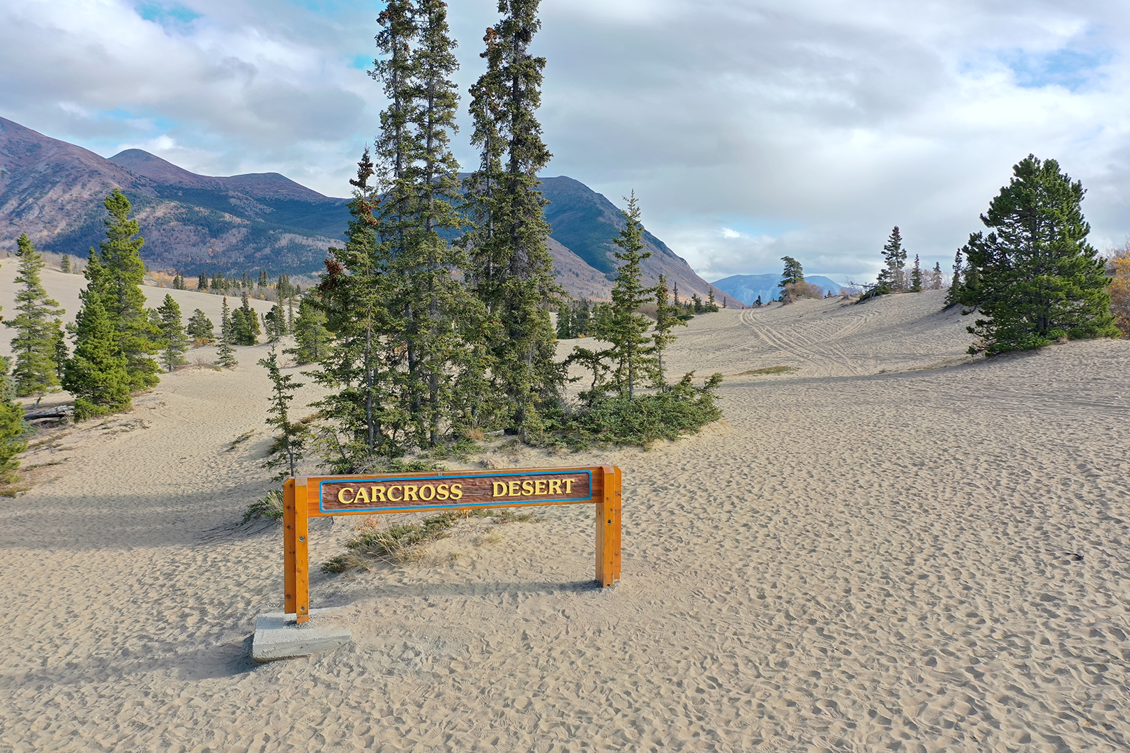 Carcross Desert